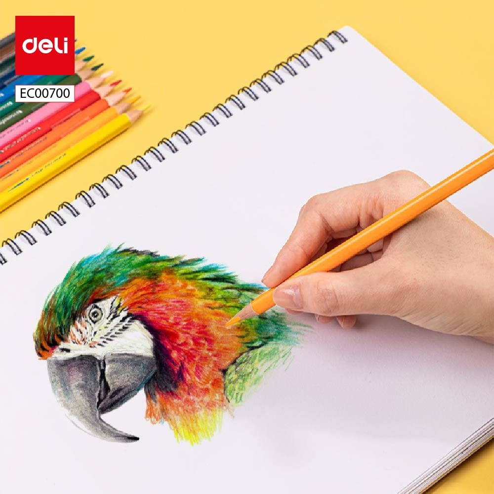 ديلي أقلام تلوين خشبي مائي طويل - 12 لون - EC00700